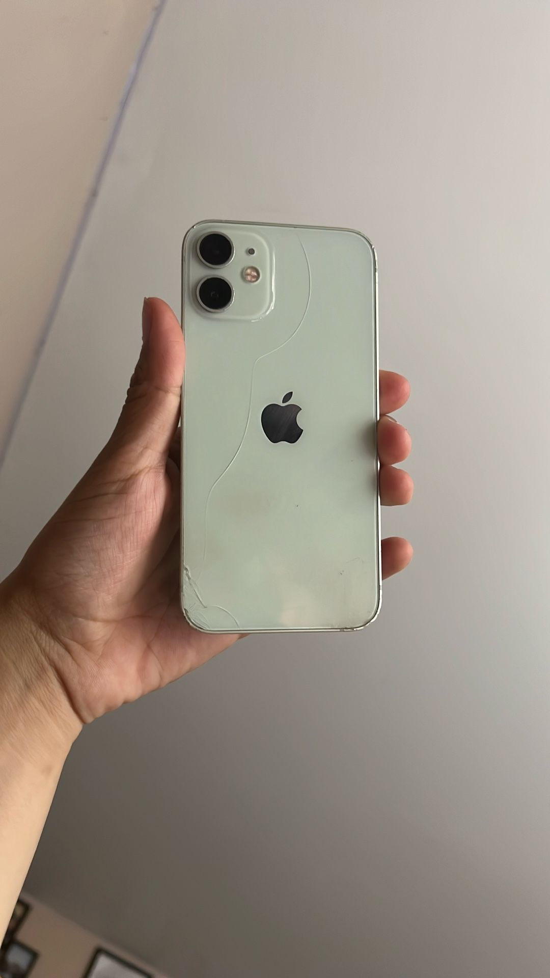 12 Mini