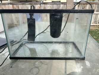 10 Gallon Fish Tank