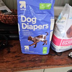 Up & Up Medium Dog Diapers