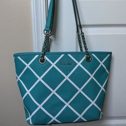 Pretty Calvin Klein Purse 