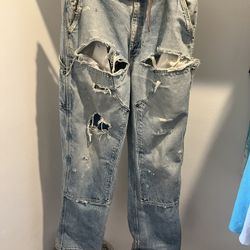 Carhartt Double Knee Carpenter Pants