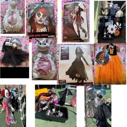Halloween Costumes & Decorations