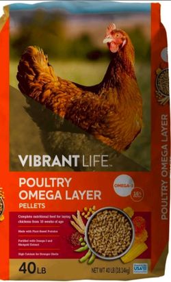 Chicken food for free