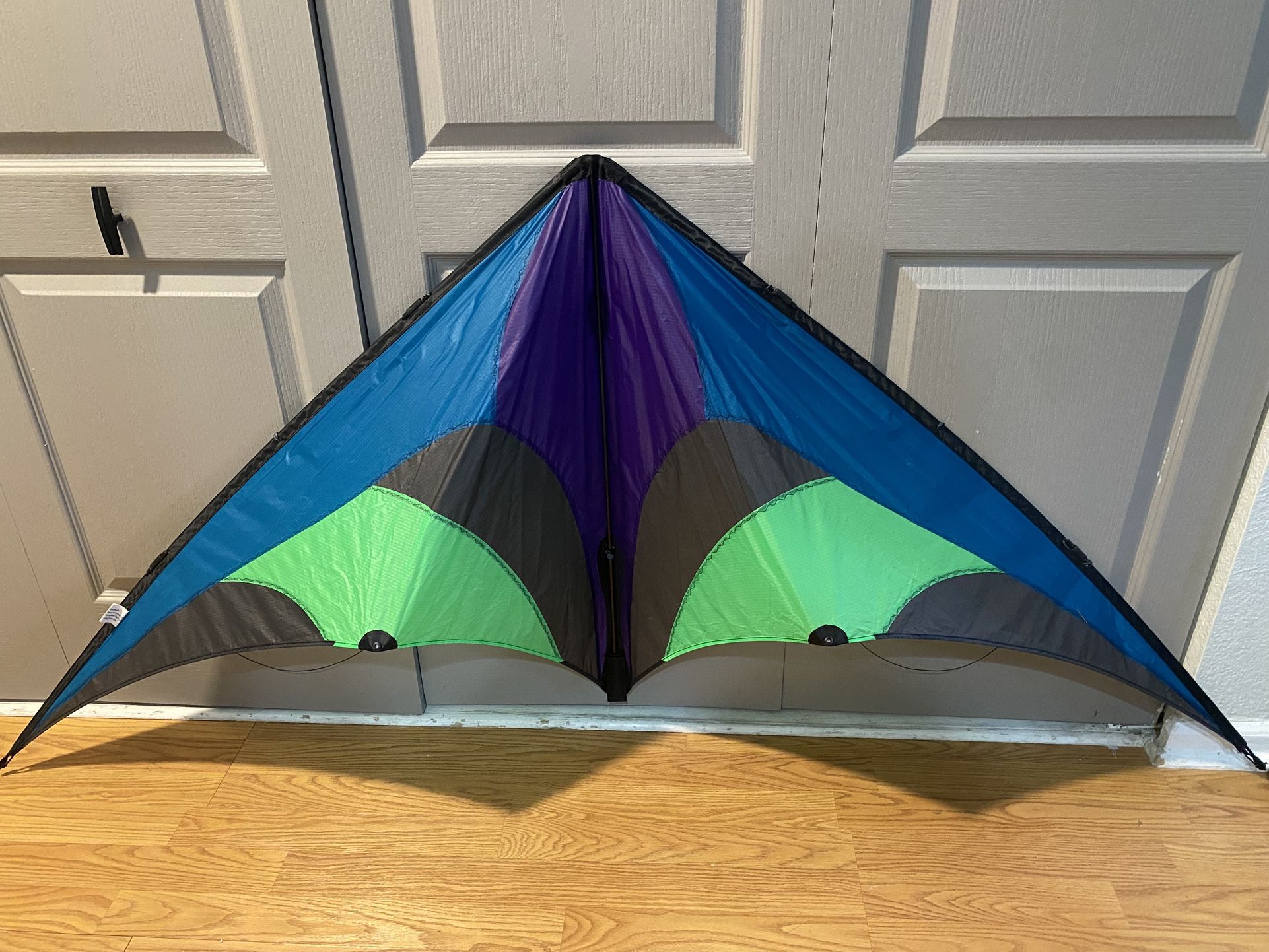 Stunt kite (beginner)