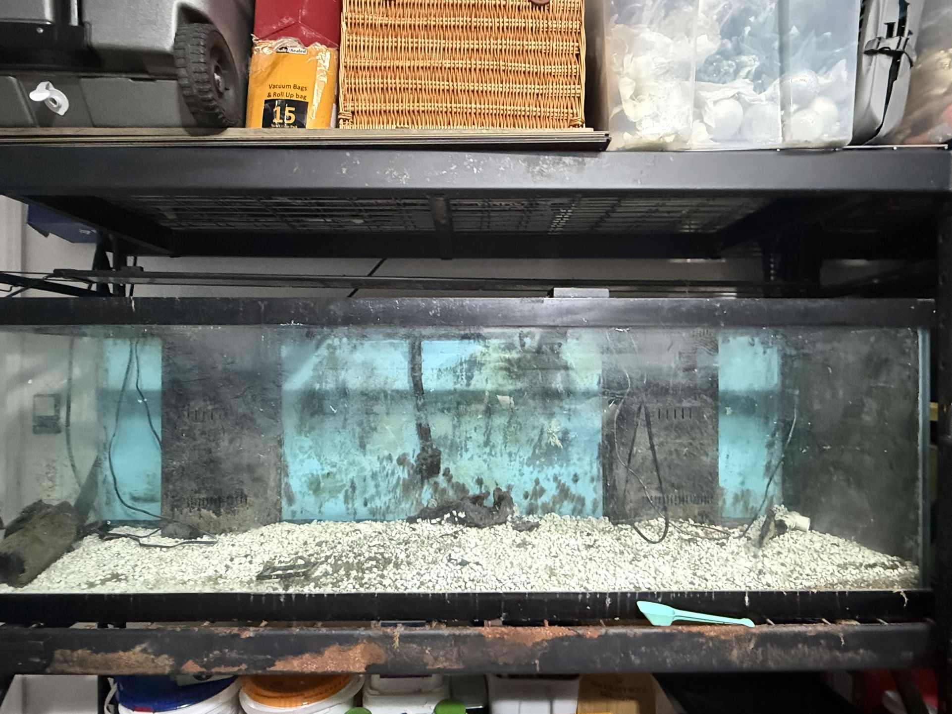 Fish Tank For Sale