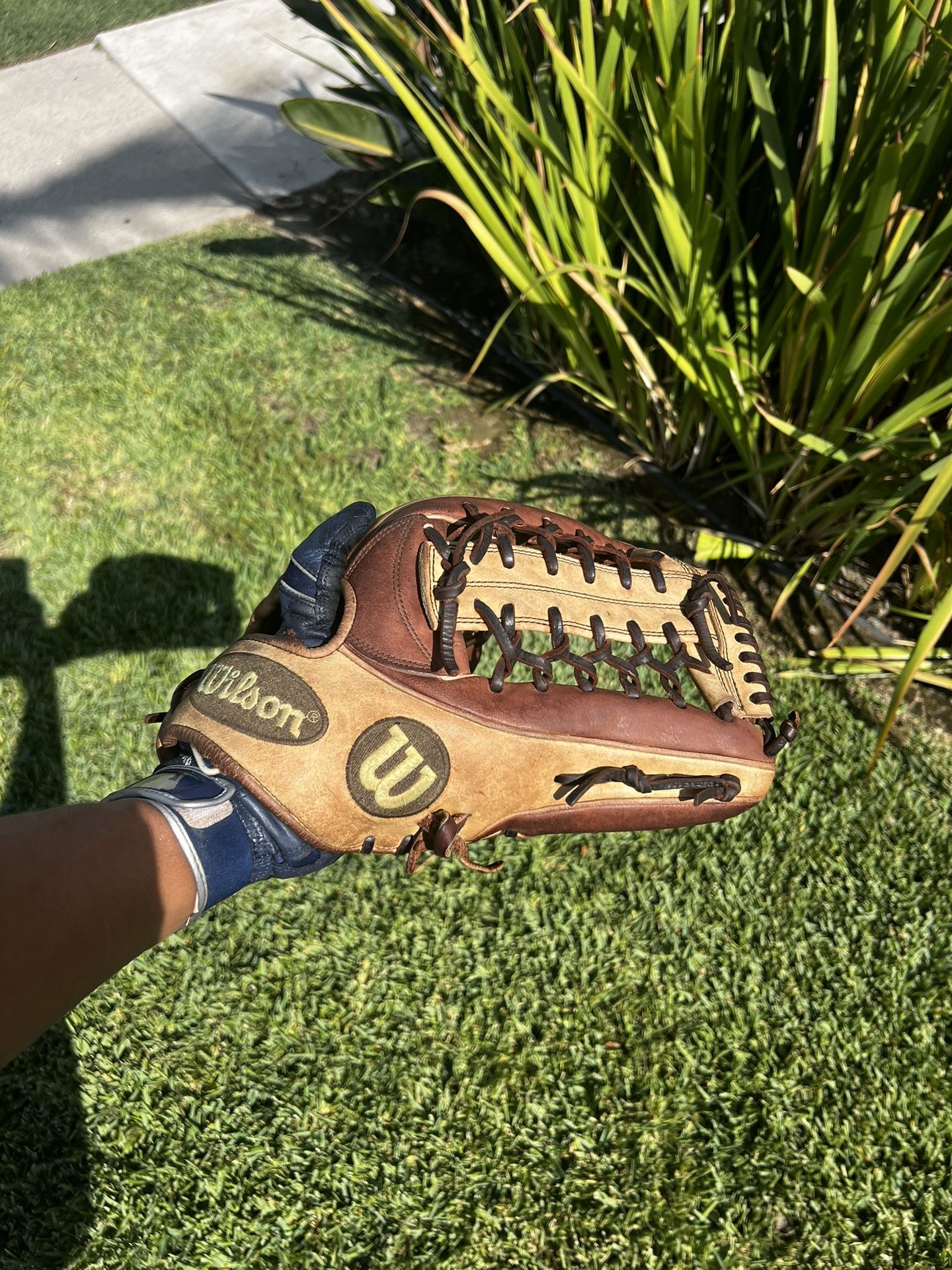 Wilson Baseball Glove