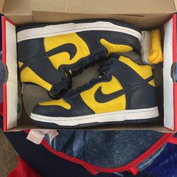 Nike Dunk Michigan High tops