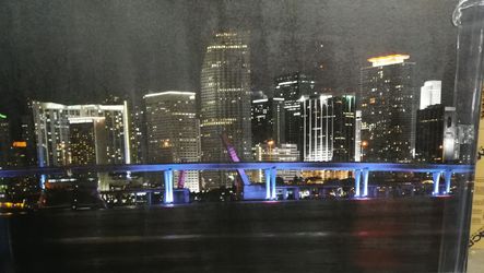 Large Miami at night