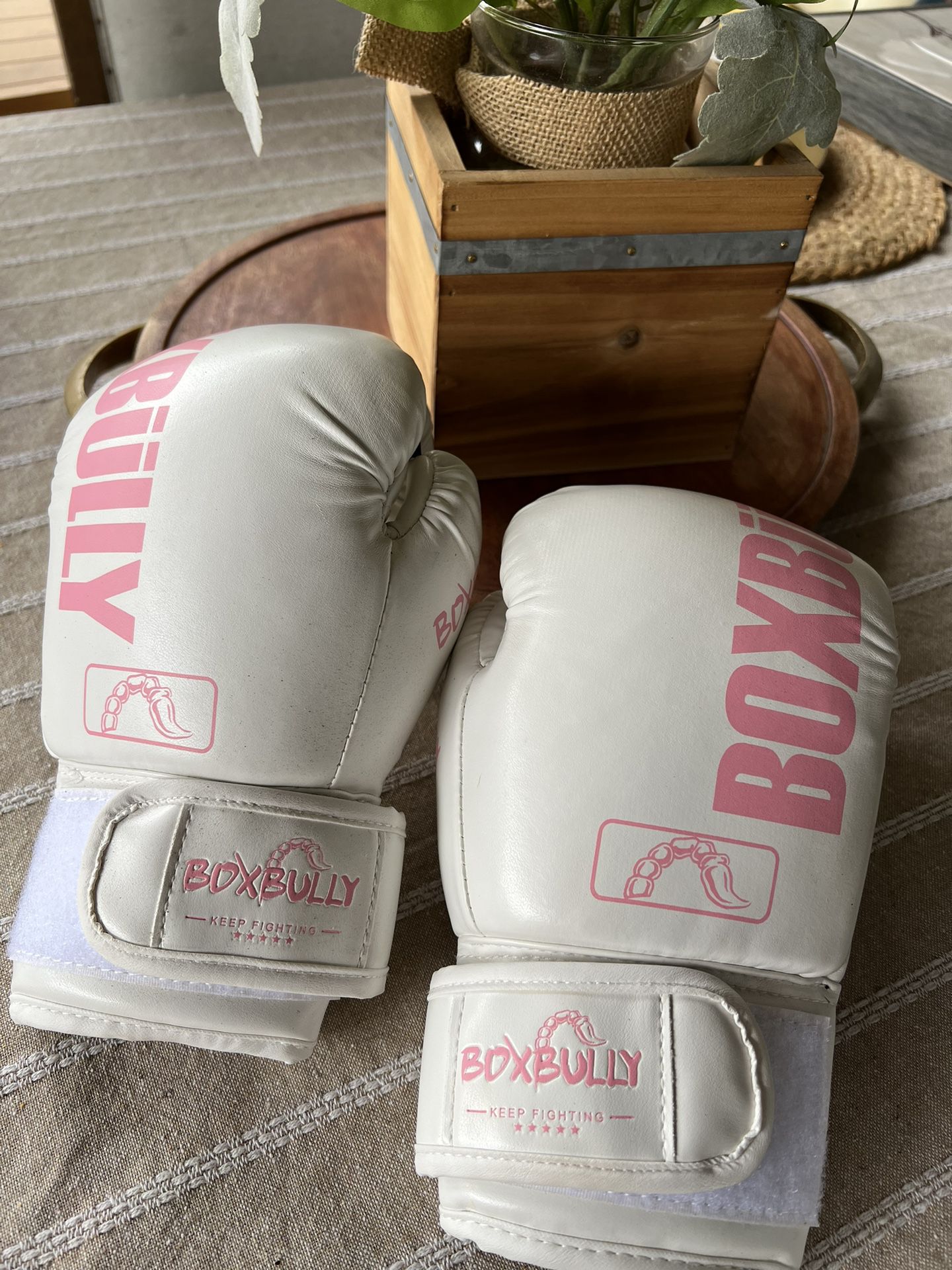BOXBULLY Boxing Gloves 