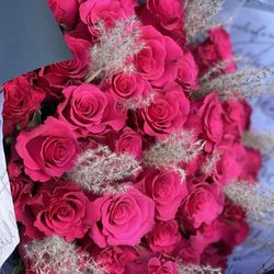 50 Roses Bouquet 