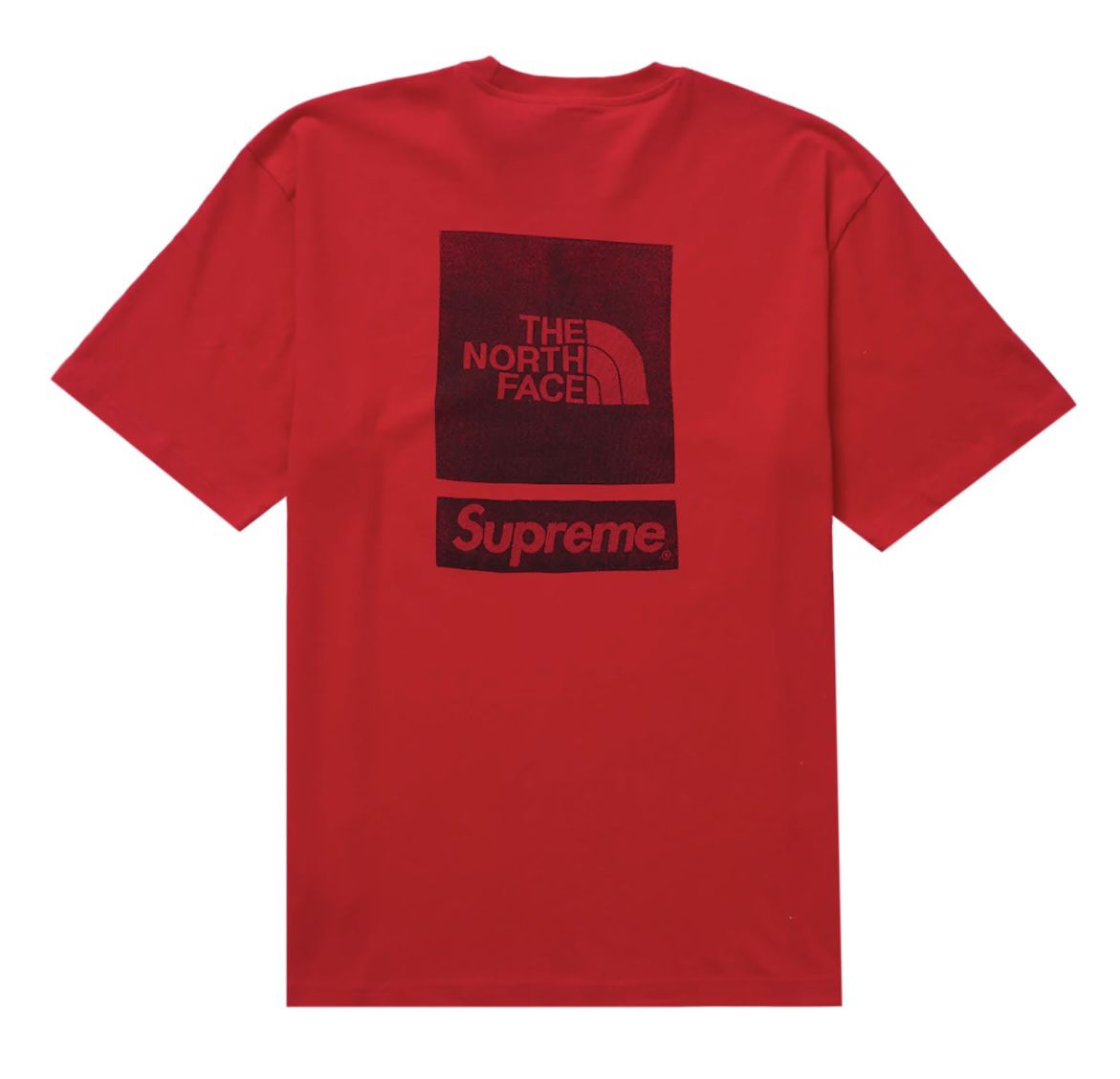 Supreme North Face Tee Brand New Size large Red 