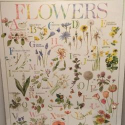 Flower Identification Poster, Nature:Marjolein Bastin