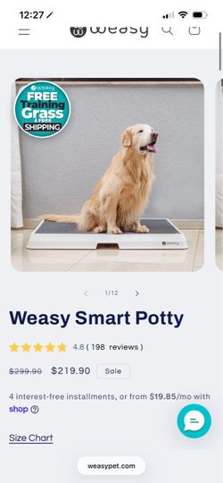 Weasy Smart Potty for Dogs