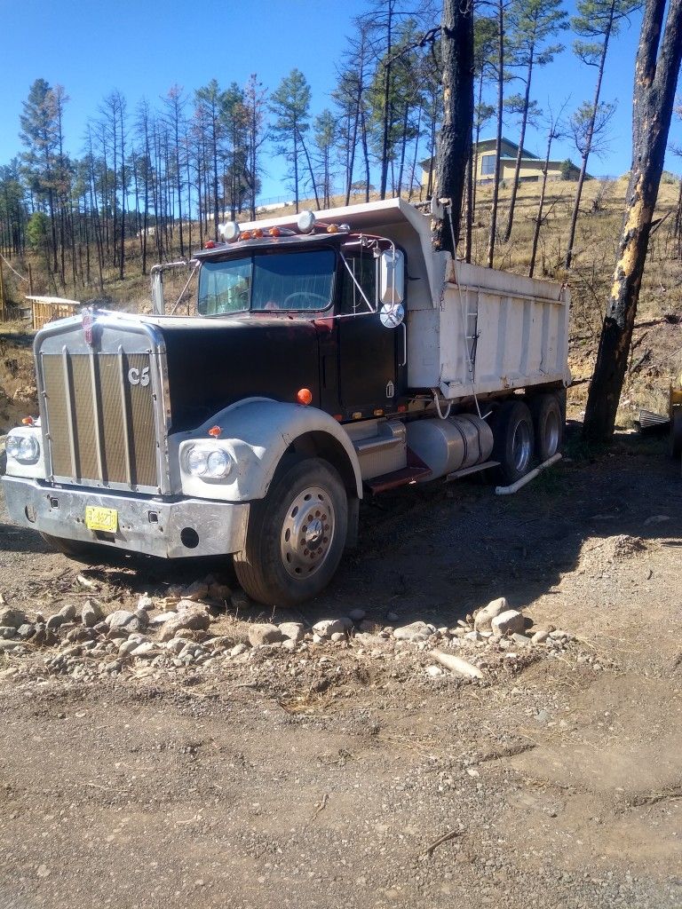 1980 Kenworth W900