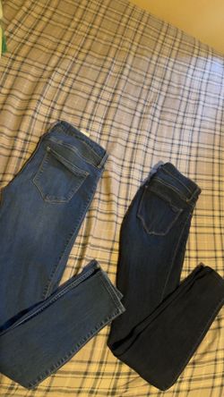 Hollister women