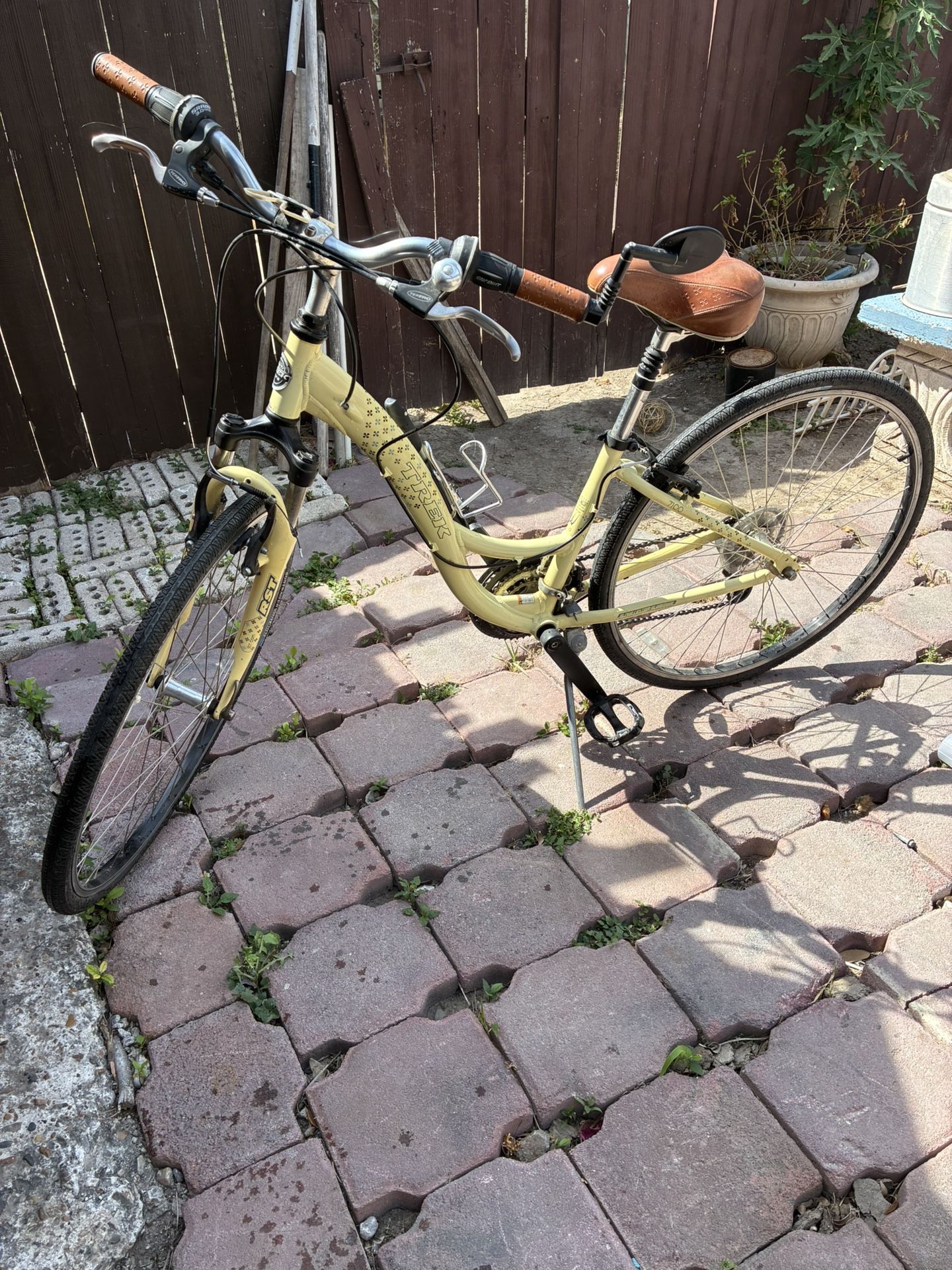 Great Nice Lady’s TREK $100 Takes