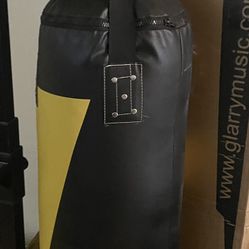 Punching Bag With Gloves