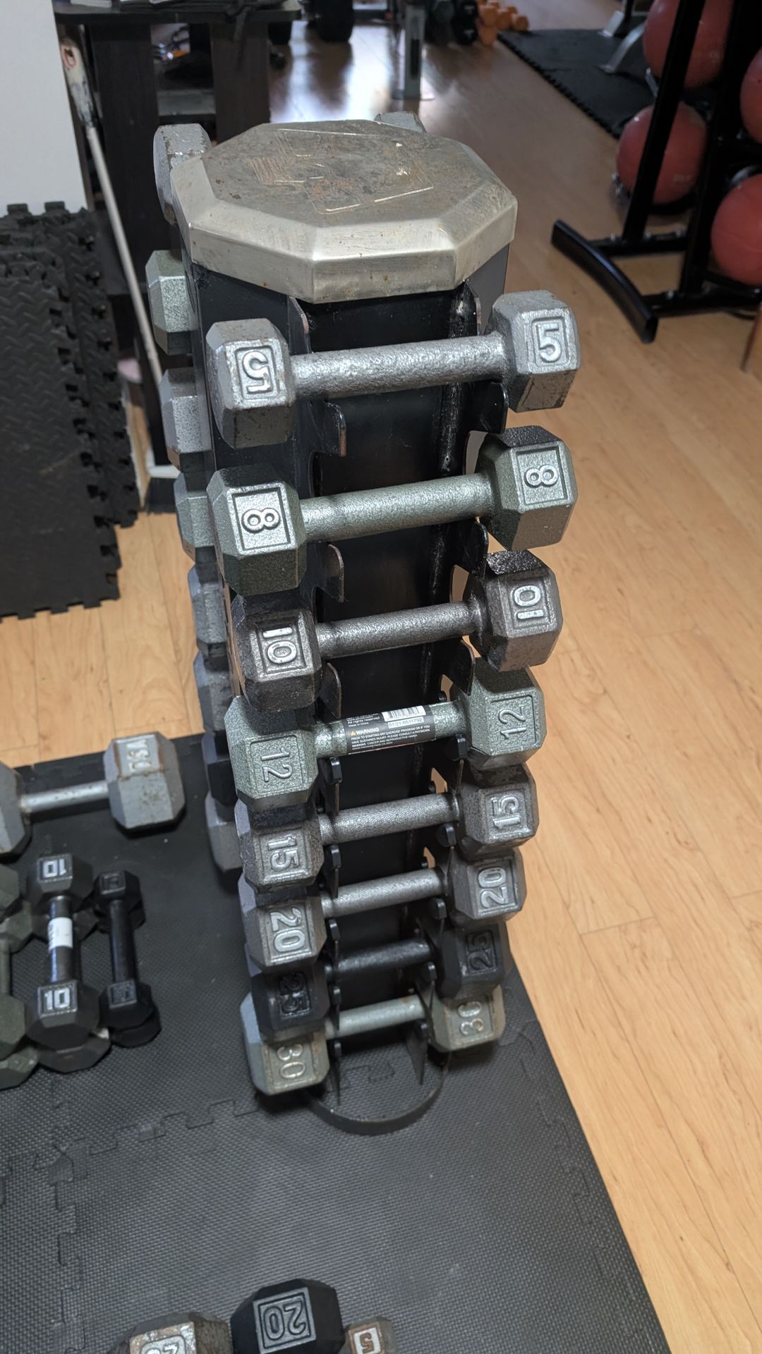 250 Lb Dumbbells Set with Tower Rack Stand