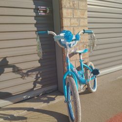Frozen Bike 