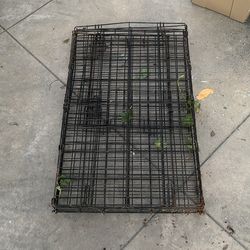 Dog Cage