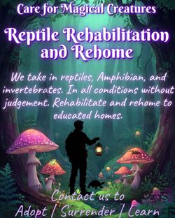 Reptiles