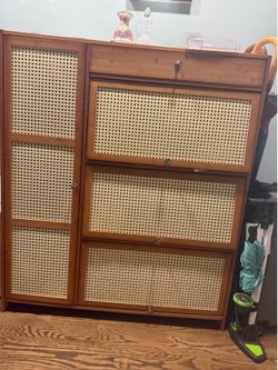 Modern Rattan Shoe Storage Cabinet ✨