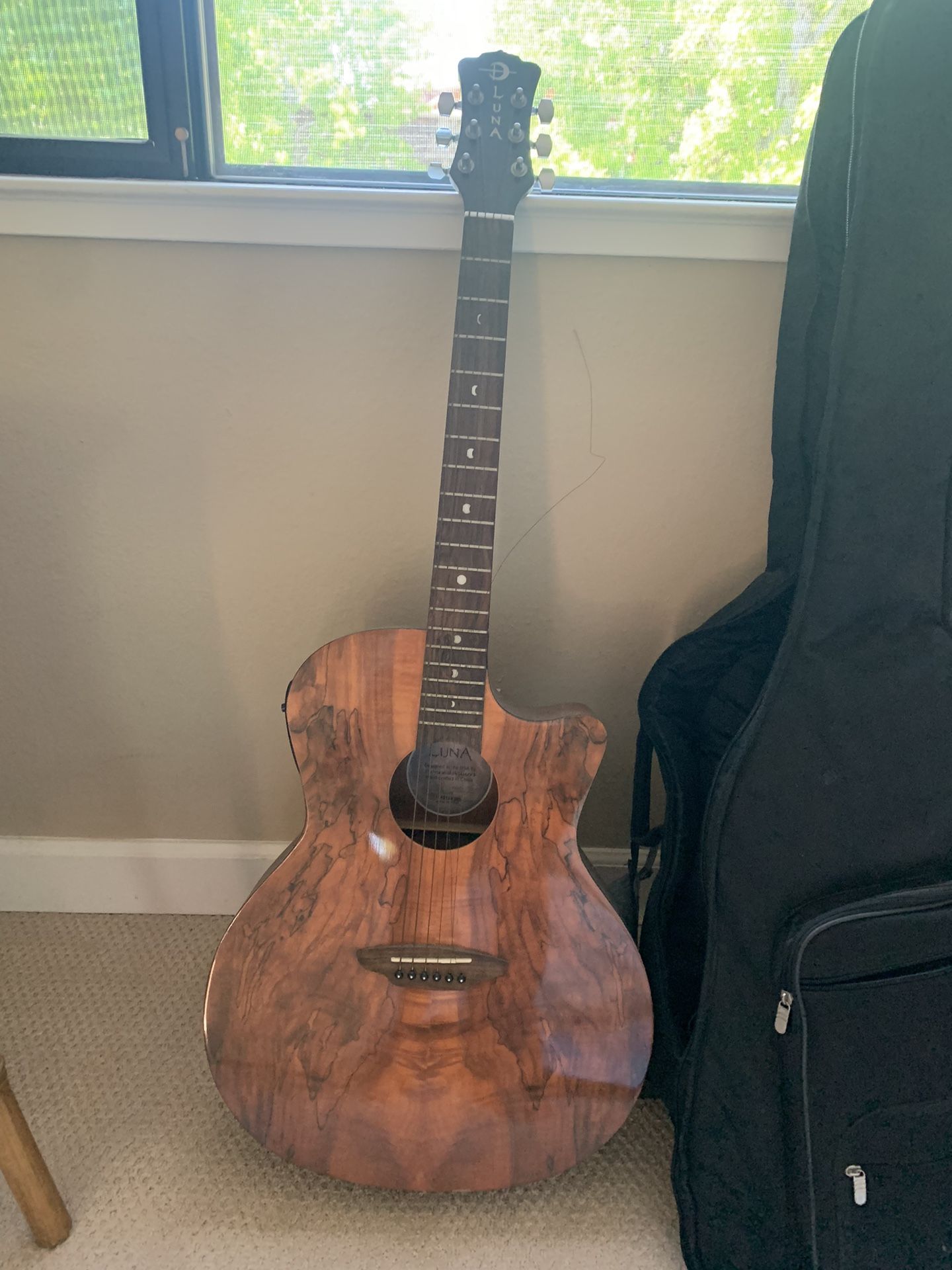 Guitar And Carrying Case