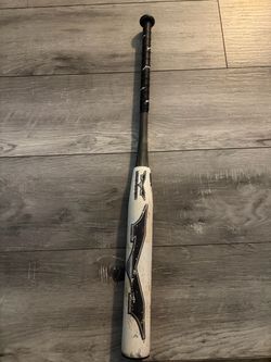 softball bat