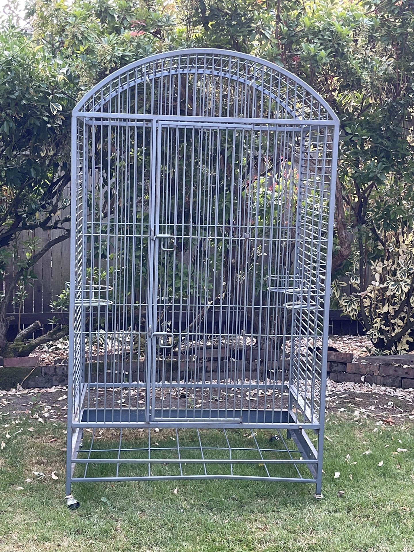 Bird Cage
