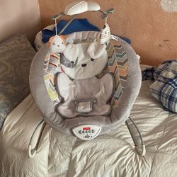 Baby Bouncer