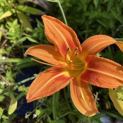 YARD SALE Sunday, July 6 eight –1 p.m.