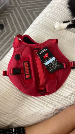 dog vest