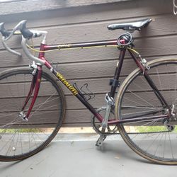 Specialized Road Bike