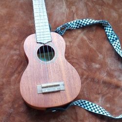 Kmise Ukulele Starter Kit 