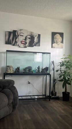 Large Glass Fish Tank with Metal Stand