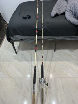 2 Fishing Rods 1 Reel
