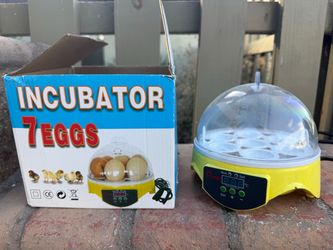 Egg incubator