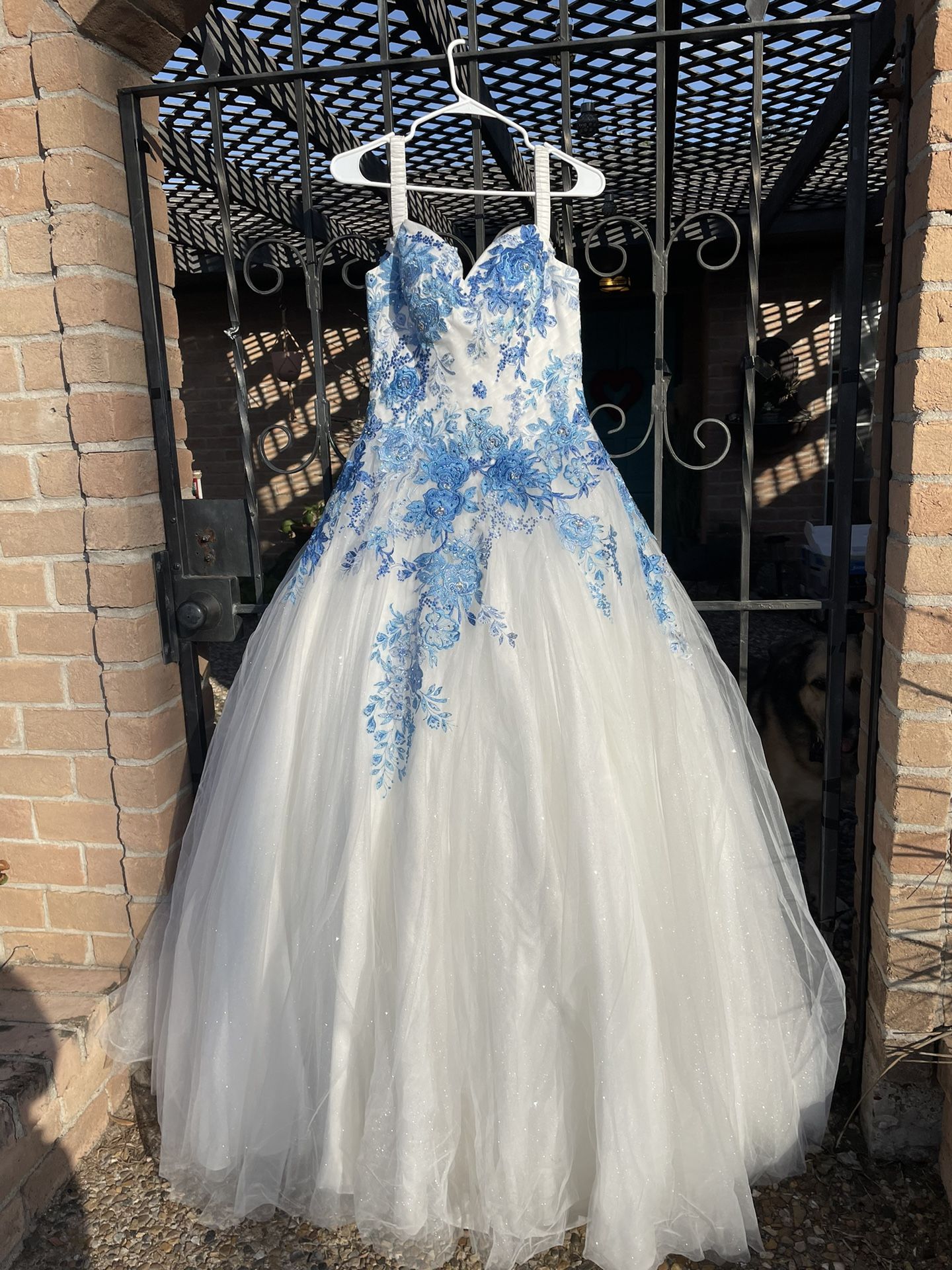 Quinceanera Dress