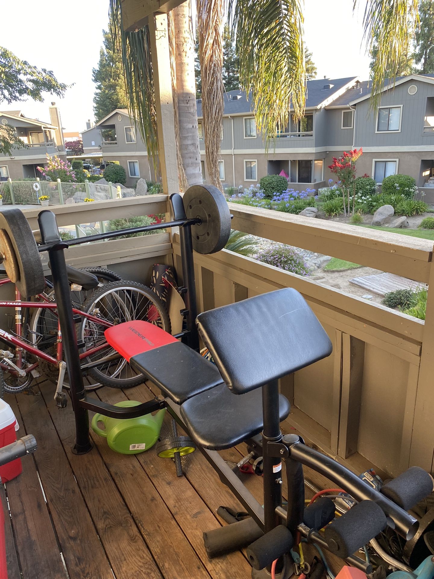 Bench Press