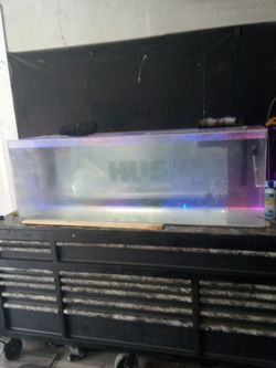 100gal Fish tank