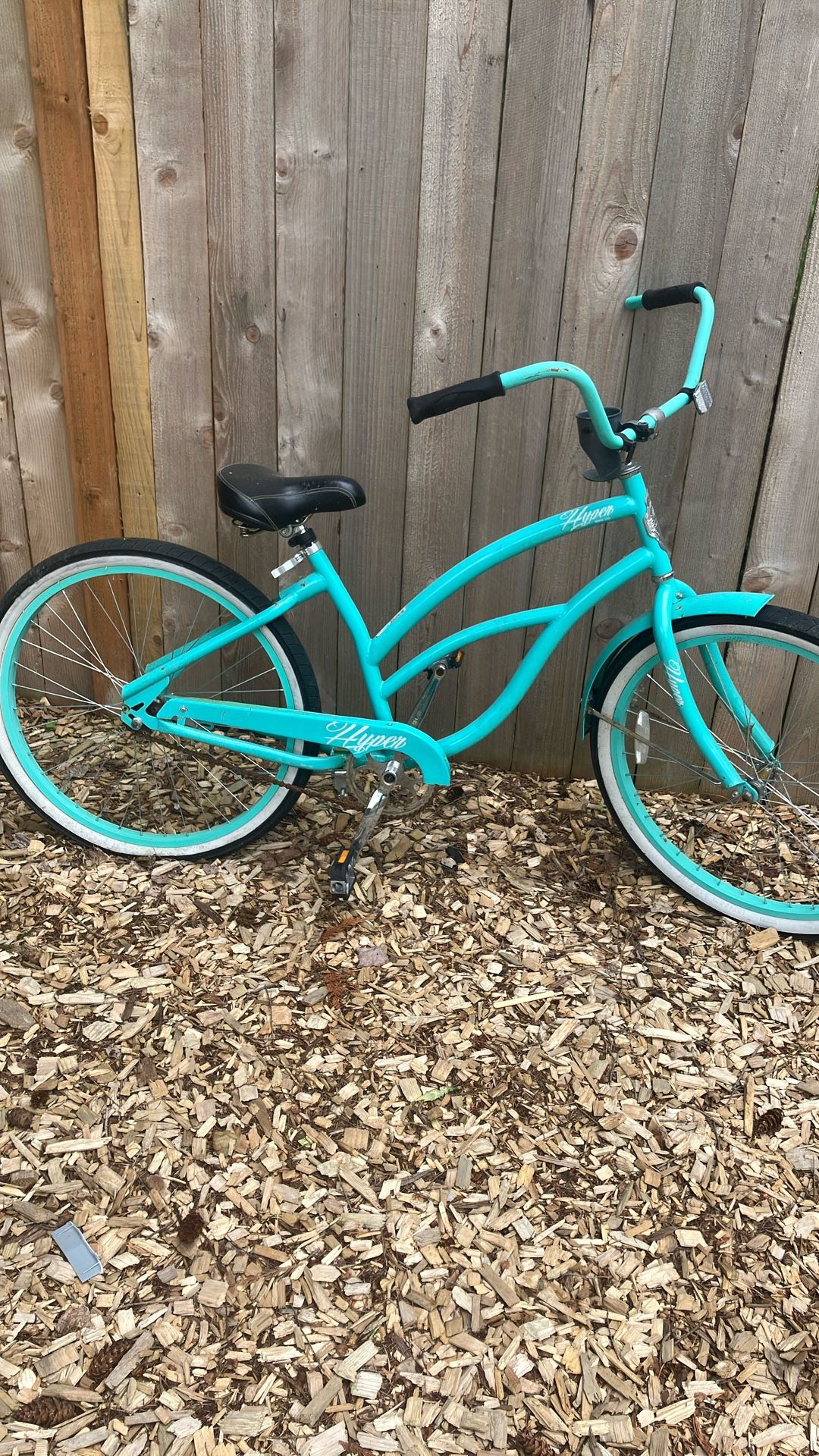 Teal Bike