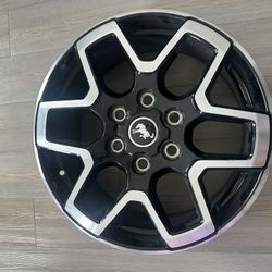5 wheels brand new