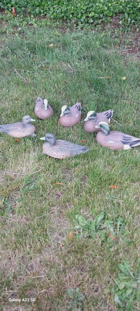 High Definition Decoy Ducks