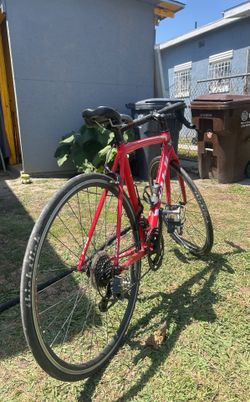 Fuji Road Bike