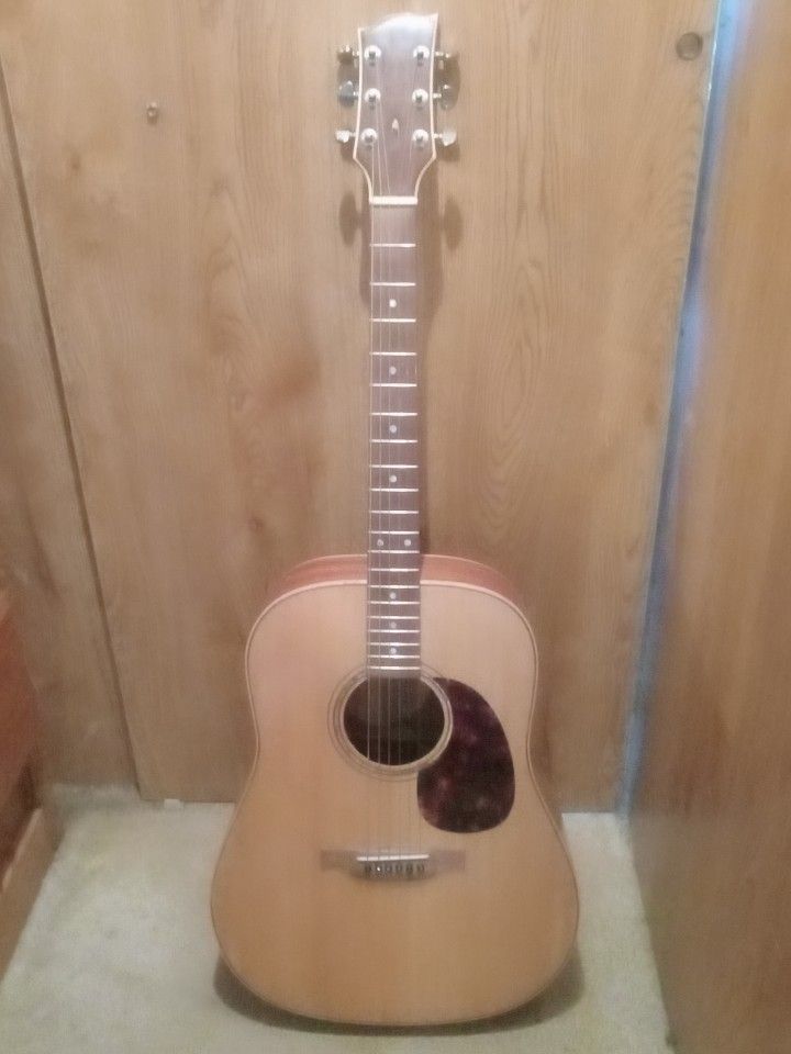 6 String Acoustic Guitar
