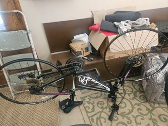 Scott bike