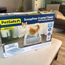 Cat Litter - Automatic 