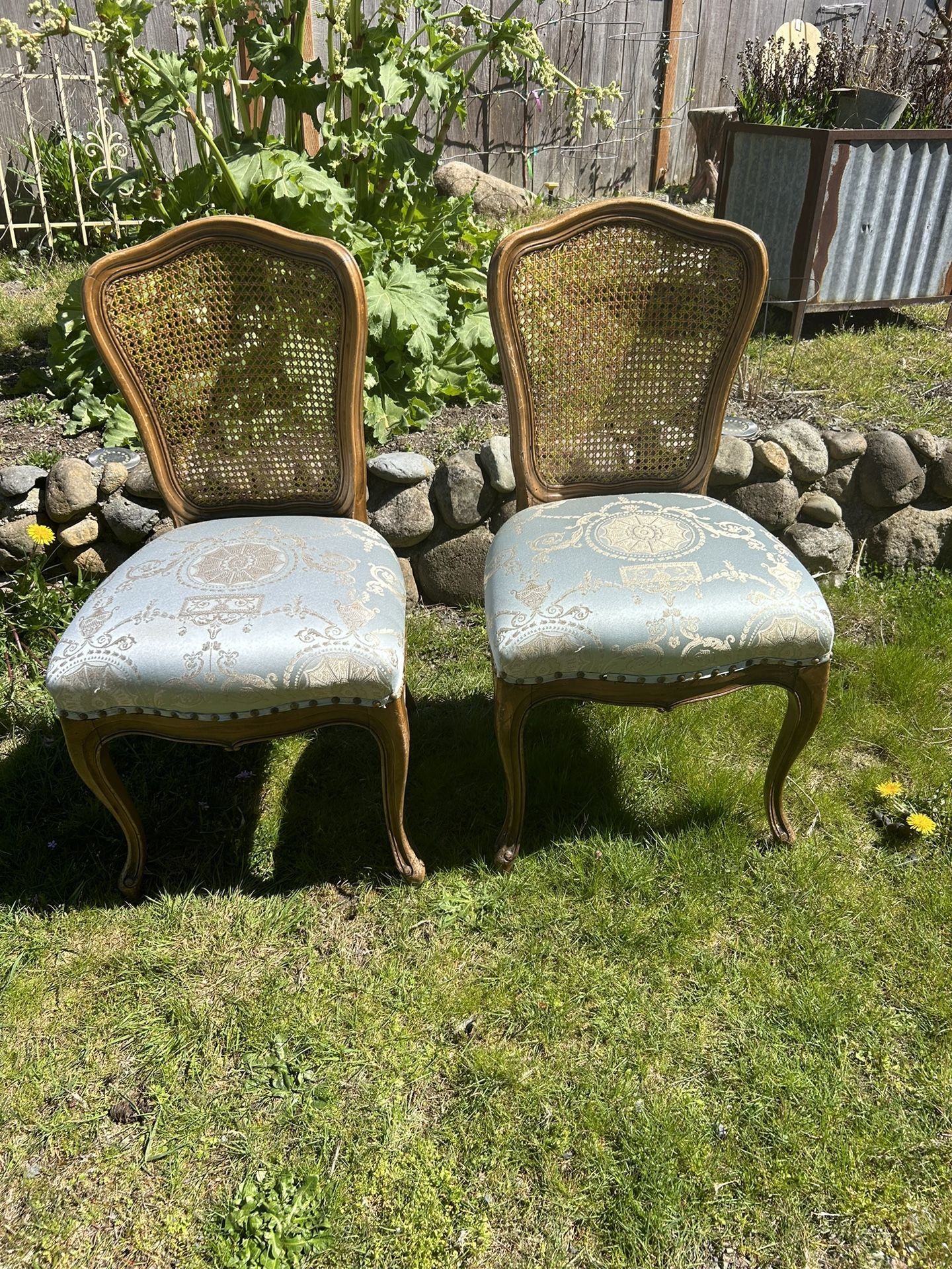 Pair Of French Caned Back Chairs With Blue And Gold Upholstery