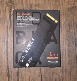 1TB WD_BLACK SN850X NVMe SSD with Heatsink