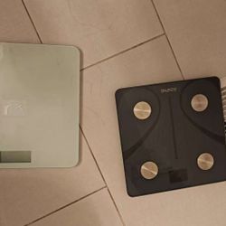 Electronic Scale 